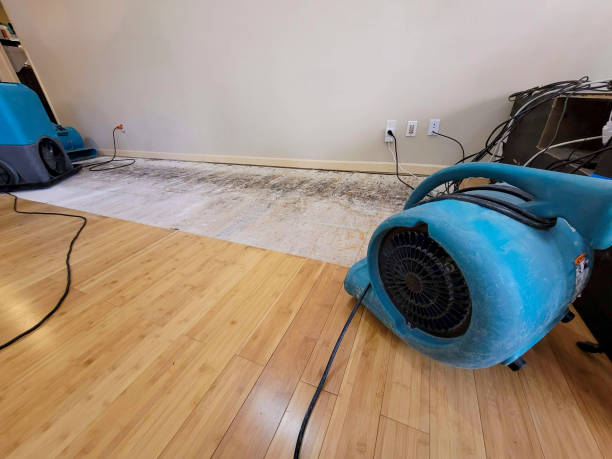 Professional Basement Flood Cleanup technician working in Fulton, TX